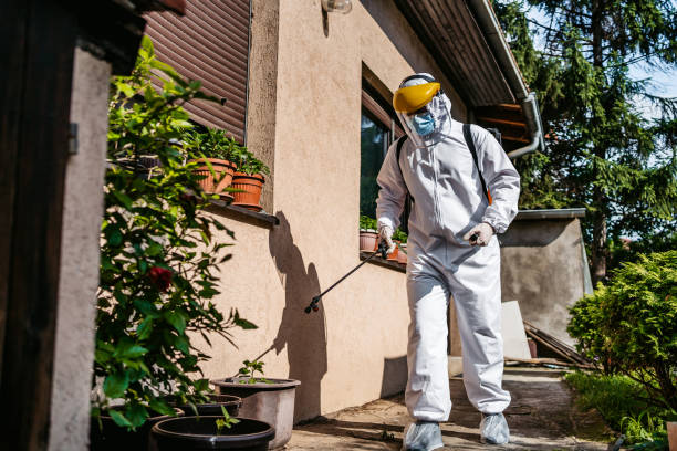 Reliable Mclouth, KS Pest Control Solutions