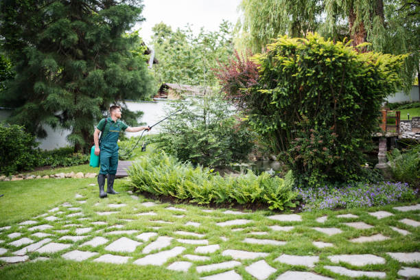 Best Pest Control Treatment  in Mclouth, KS