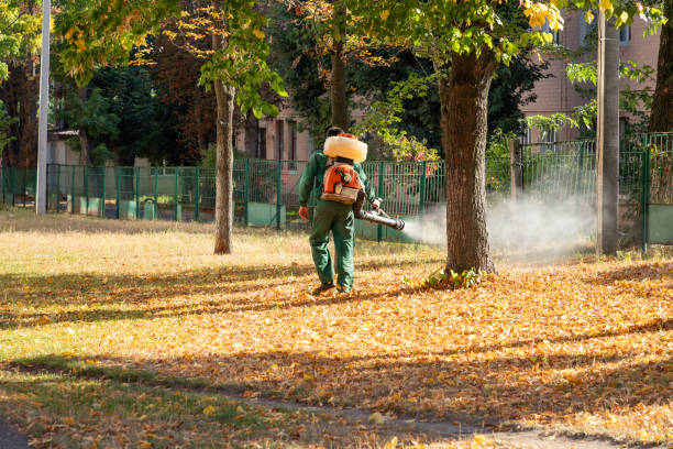 Best Termite Control Services  in Mclouth, KS