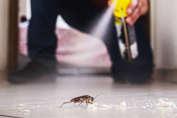 Best Commercial Pest Control Services  in Mclouth, KS