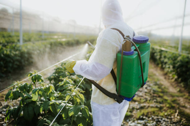 Best Affordable Pest Control Services  in Mclouth, KS